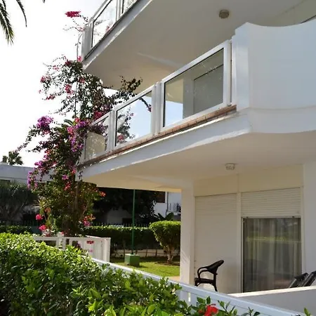 Montemayor * 플라야 델 잉글스